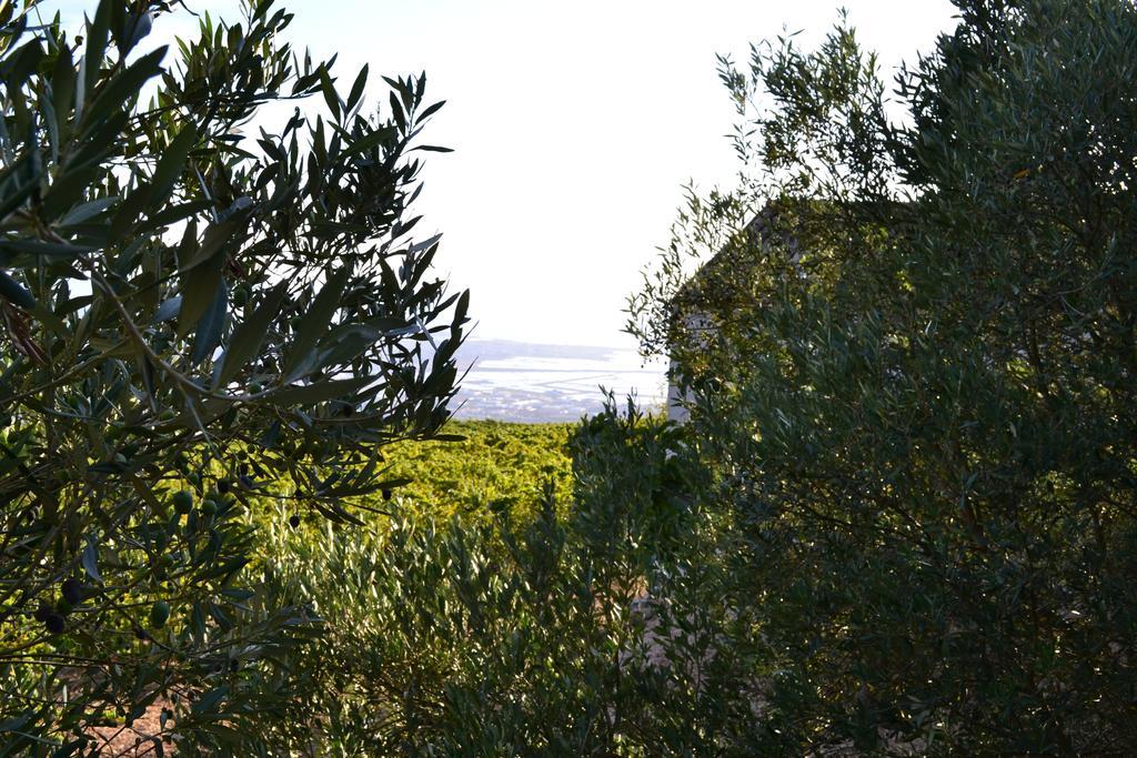 Casa Nel Vigneto Erice Exterior foto